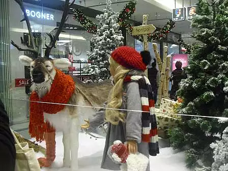 Fahrt nach Rostock mit Brunch im Ratskeller und Besuch des Weihnachtsmarktes