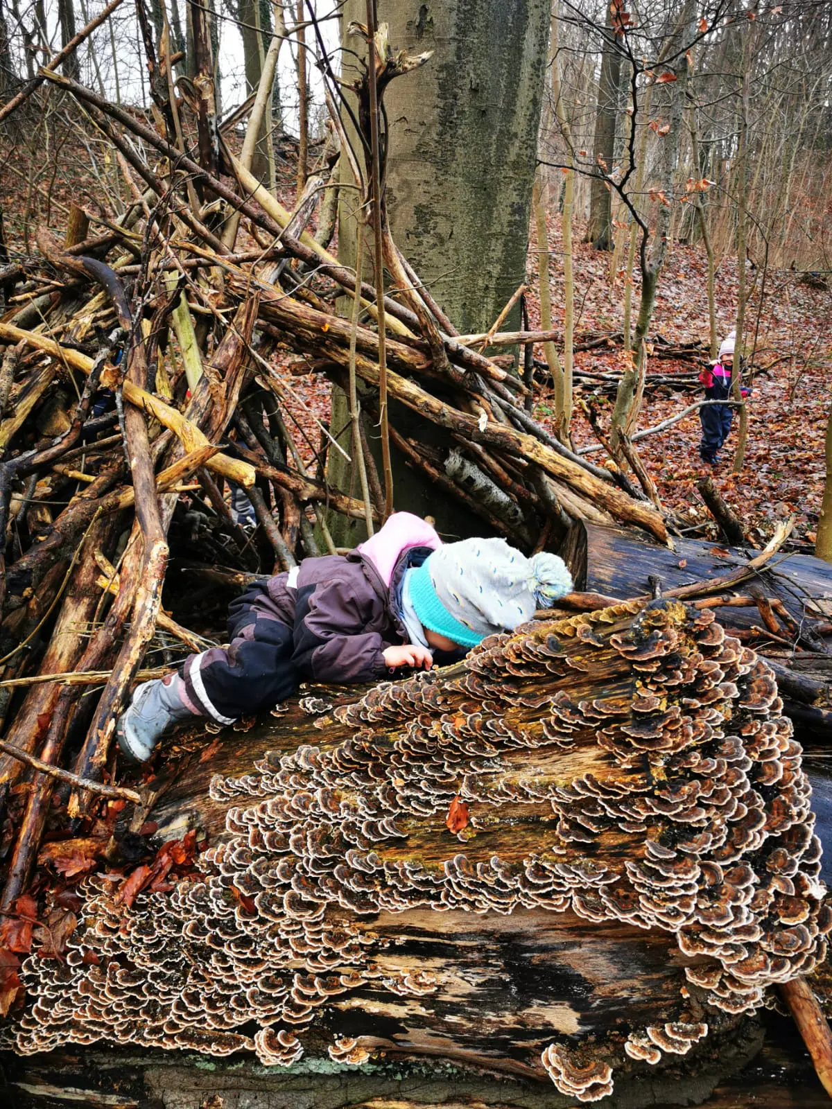 Kind beim Entdecken im Wald